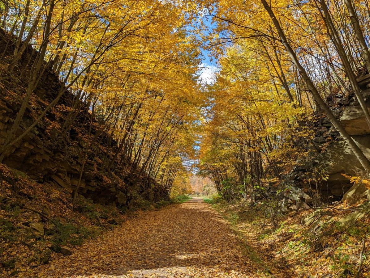 Stay In Ohiopyle In The Middle Of Town By The Gap Trail Exteriör bild